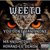 You Dont Want None (feat. Mr. Knightowl, Lil Demon & Kokane)