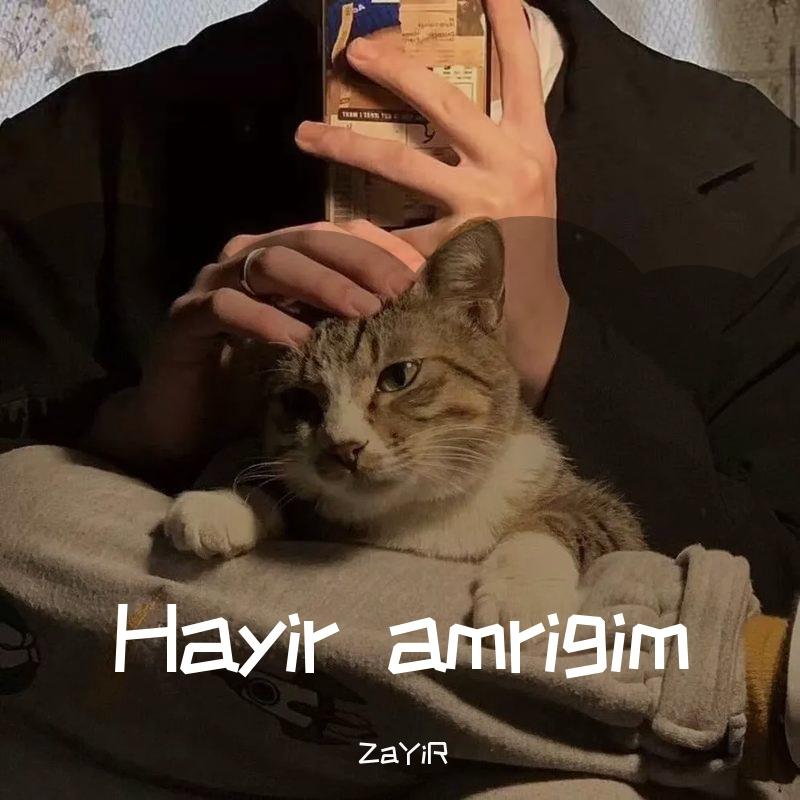 Hayir amrigim封面