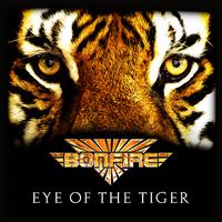 Eye of the Tiger