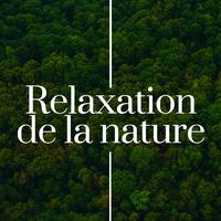 Lune René - Sons apaisantes