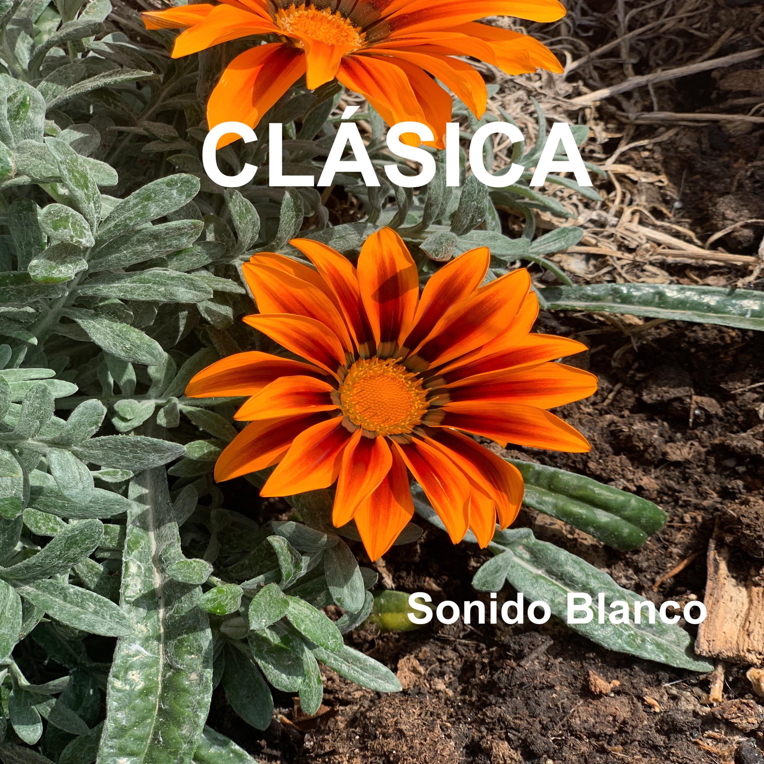 clásica歌手：sonido blanco发行时间：2022-03-06发行公司： audio