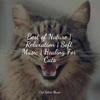 Best of Nature | Relaxation | Soft Music | Healing For Cats