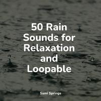 50 Soothing Nature Sounds for Meditation