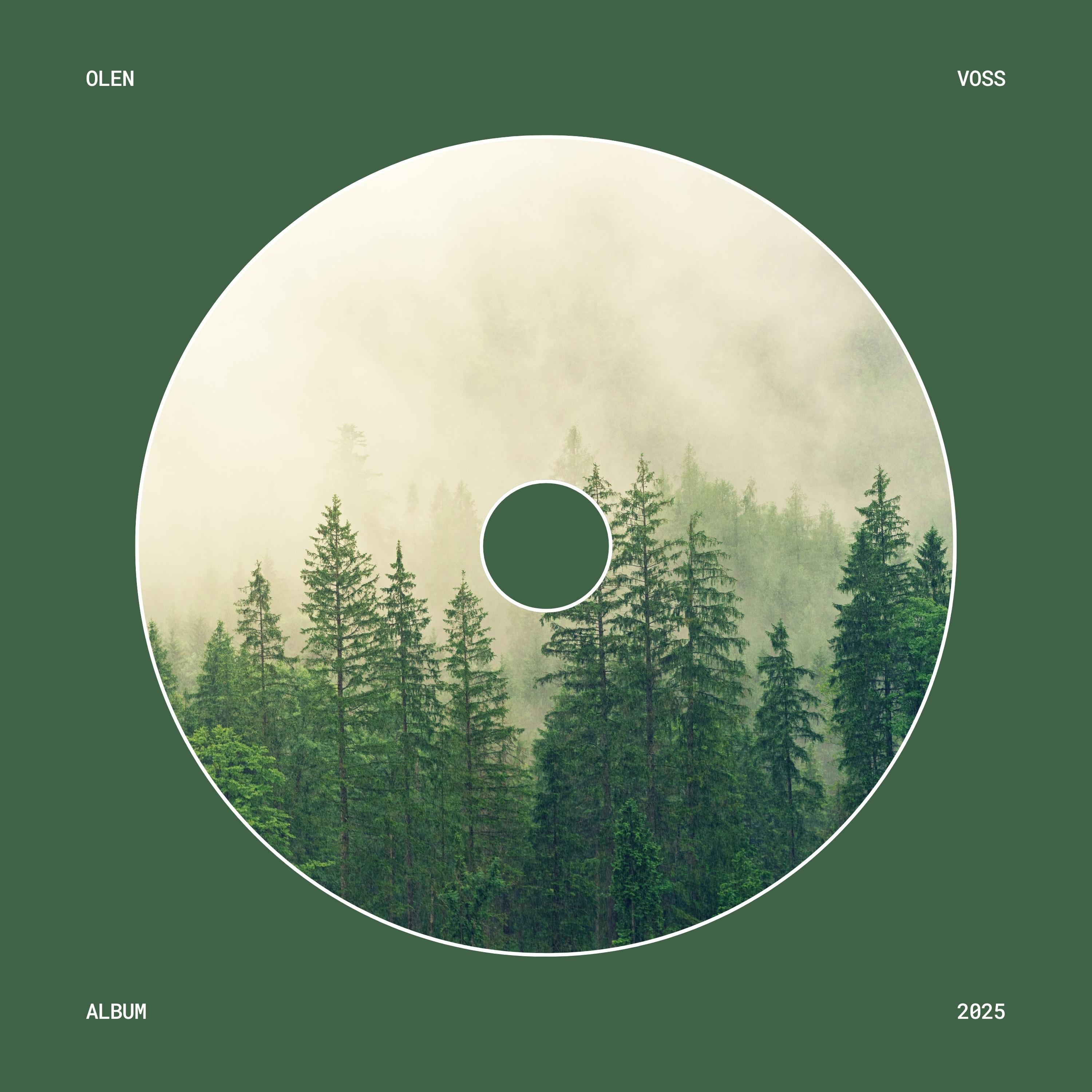 Where the Light Goes