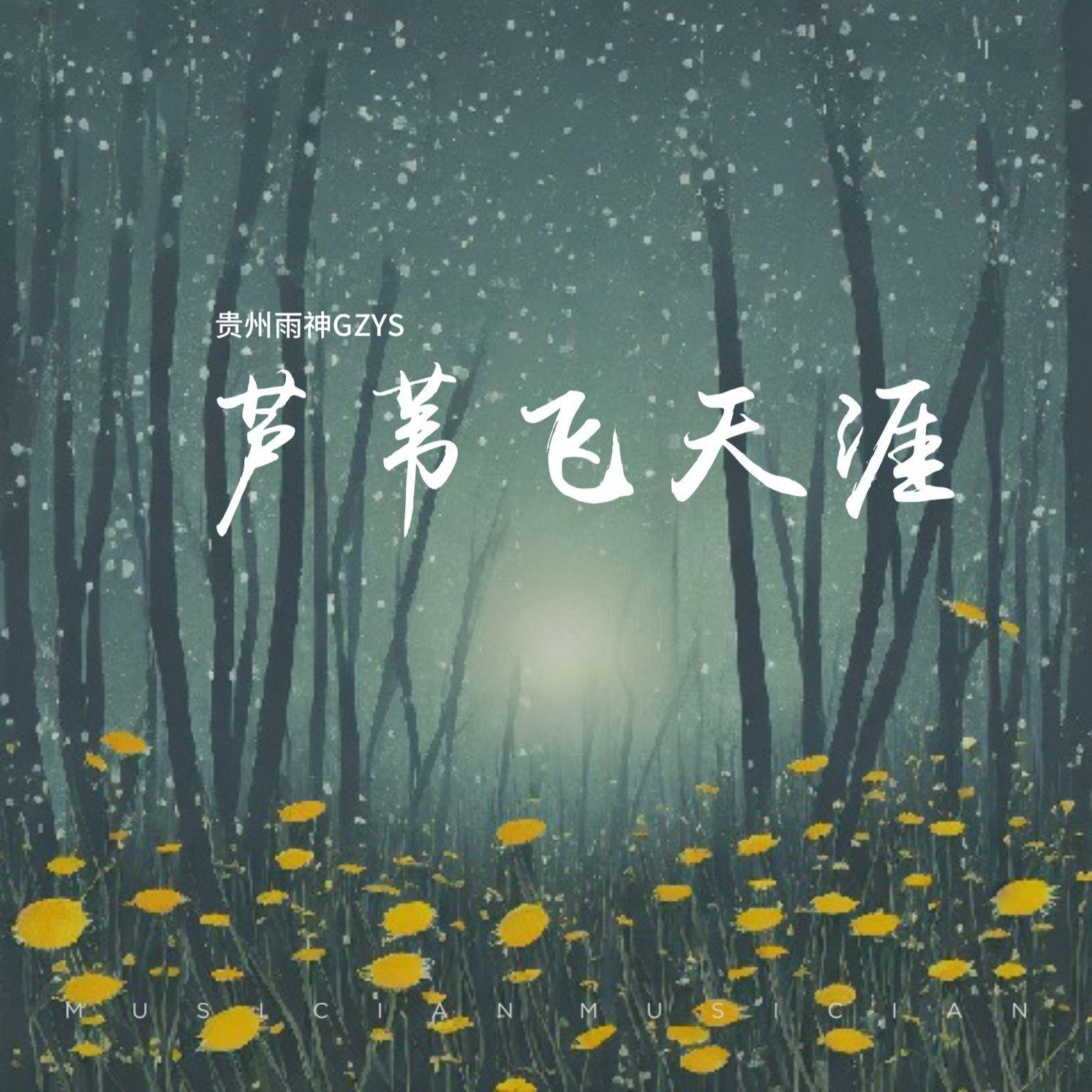 芦苇飞天涯（纯音乐） - 贵州雨神GZYS封面
