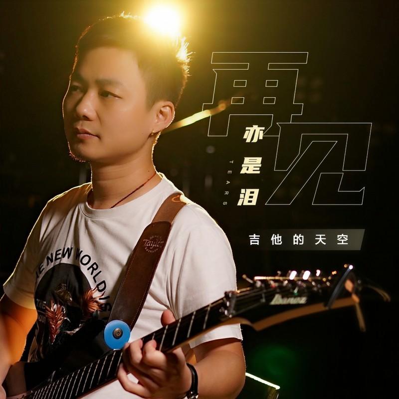 再见亦是泪封面