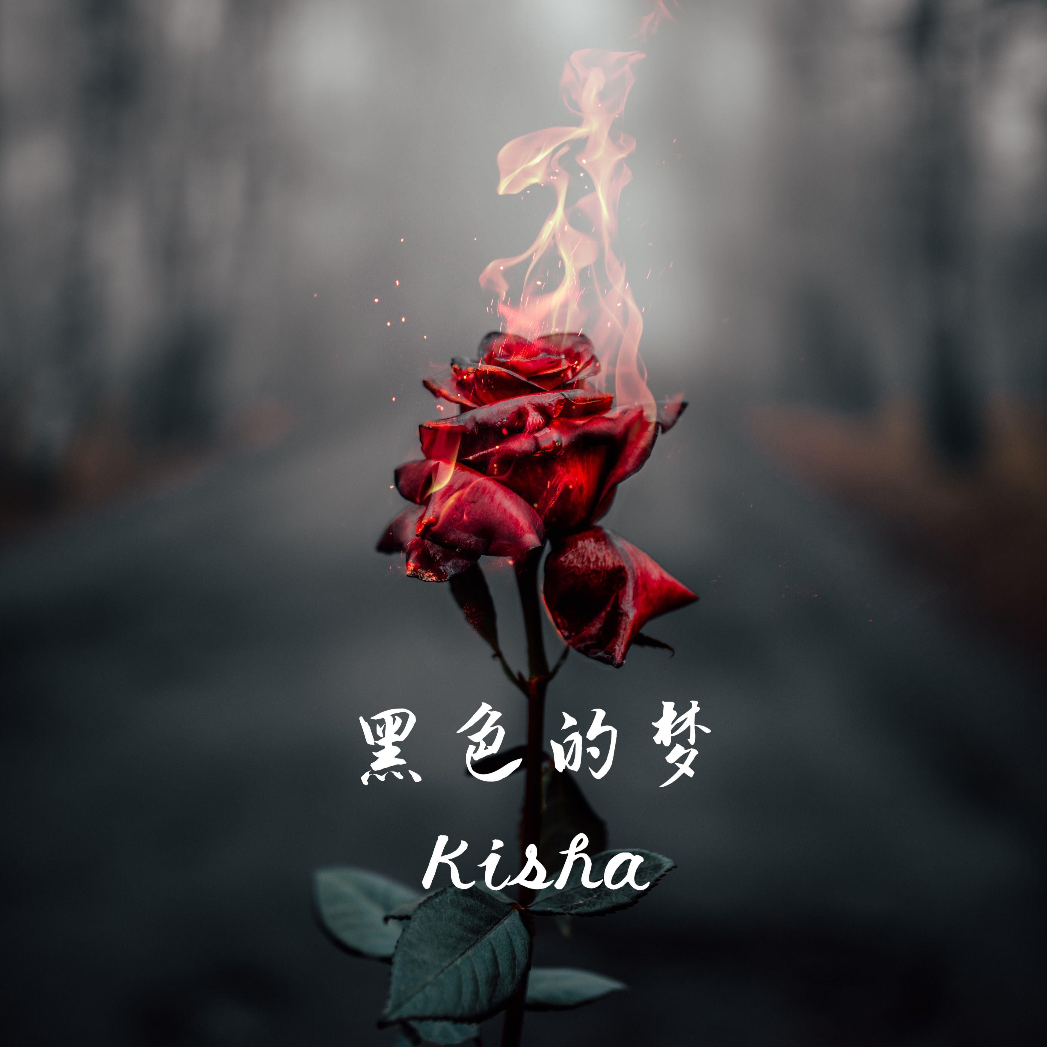 黑色的梦封面