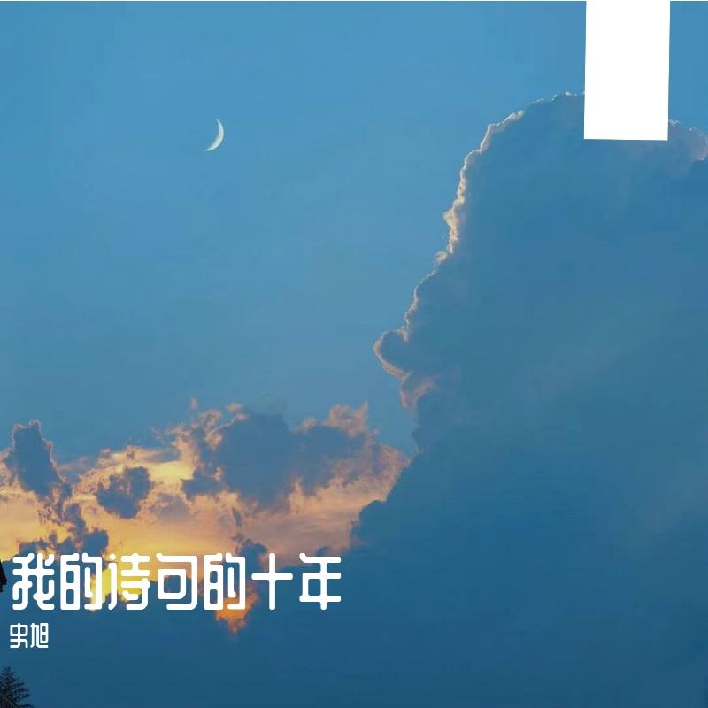 我要的飞翔封面
