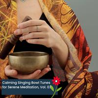 Calming Singing Bowl Tunes For Serene Meditation, Vol. 03