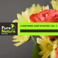 A Nurturing Sleep in Nature, Vol. 4