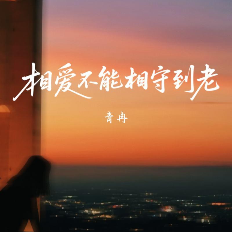 相爱不能相守到老 (伴奏) - 青冉封面