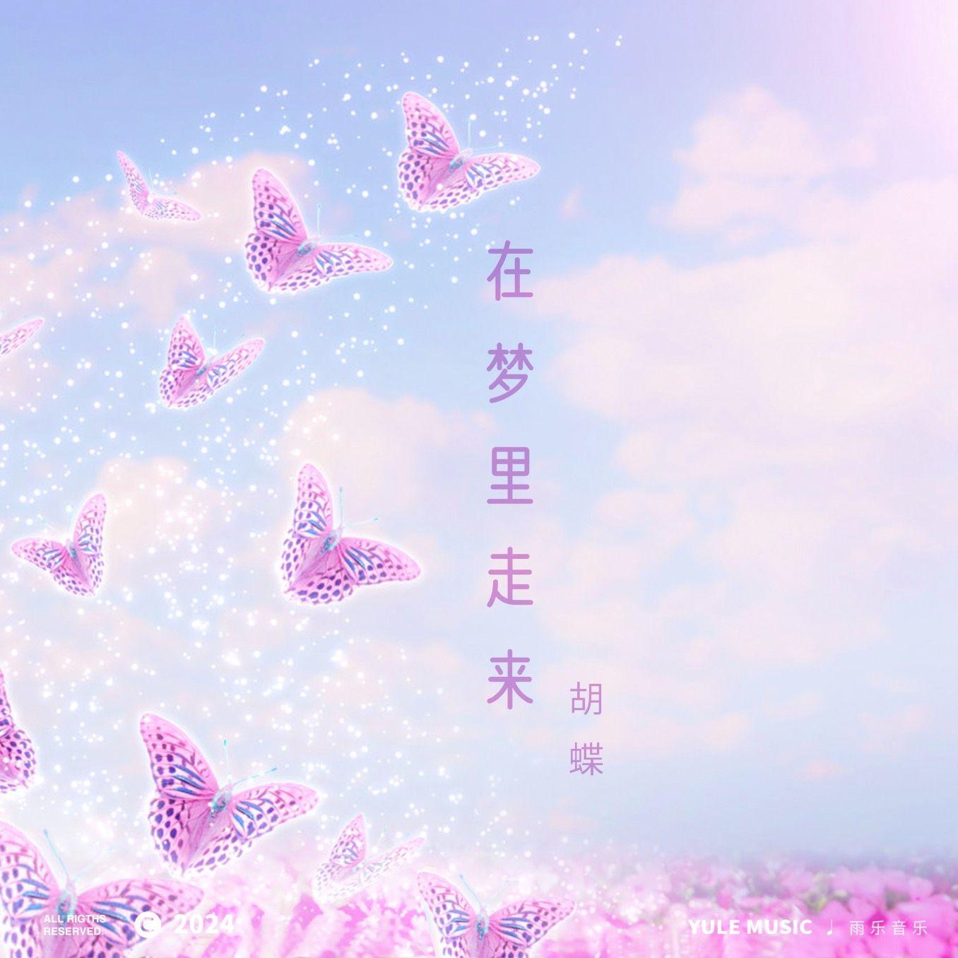 在梦里走来封面
