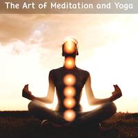 The Art Of Meditation And Yoga