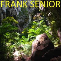 Frank Senior