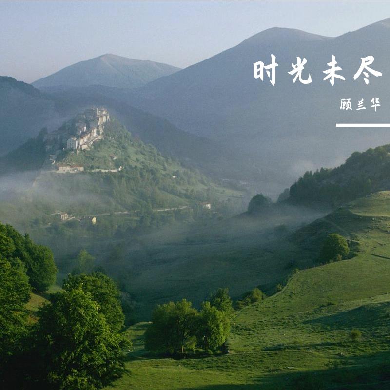年少风华封面