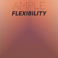 Ample Flexibility