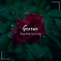 #10 Serene Rainfall Sounds for Zen White Noise Meditation & Yoga