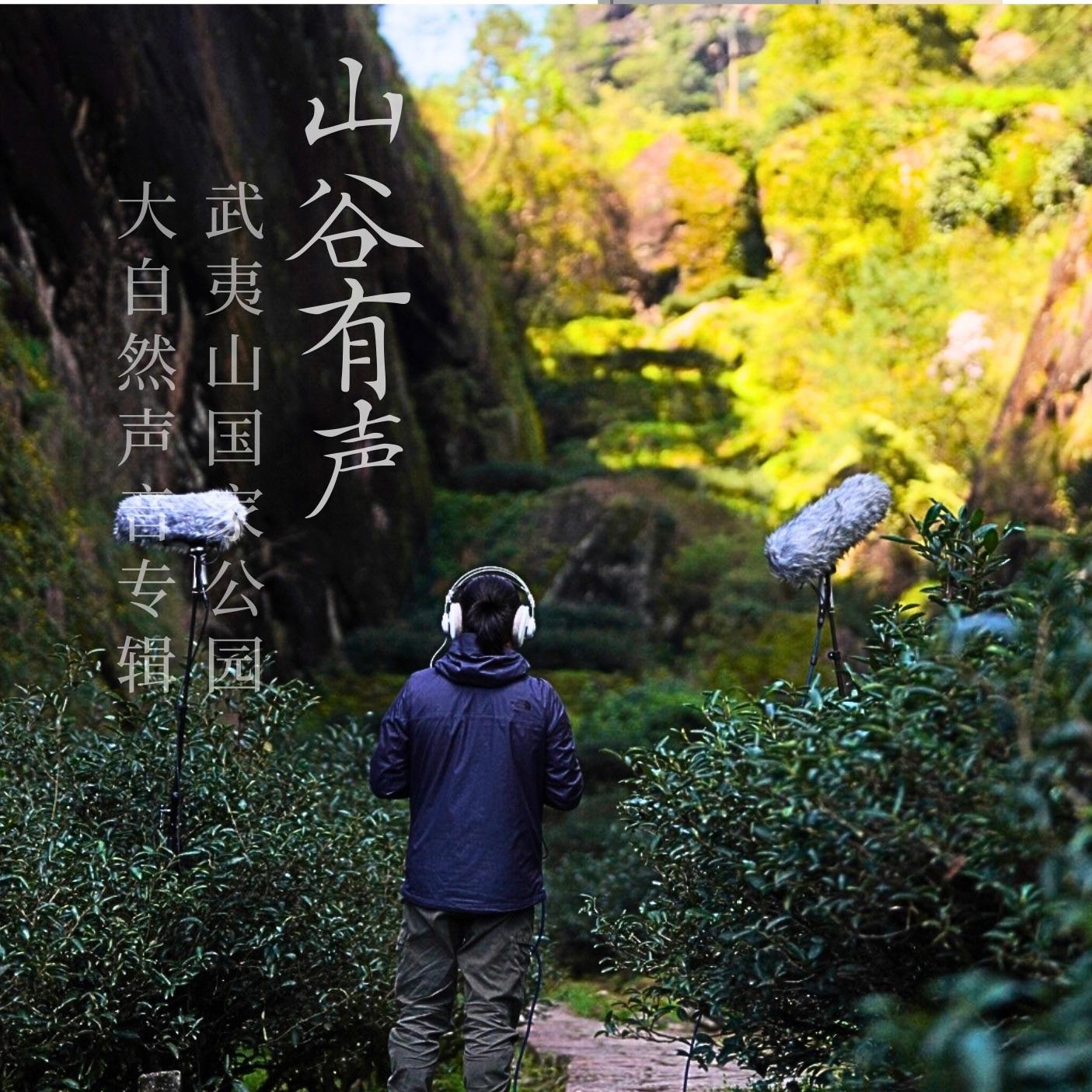 山谷有声·武夷山·春