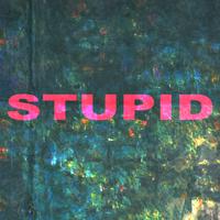 STUPID