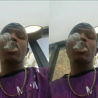 King Polo
