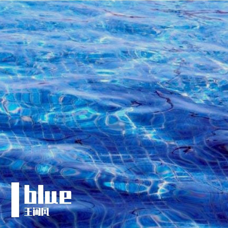墨蓝光影（Indigo Shadows）封面
