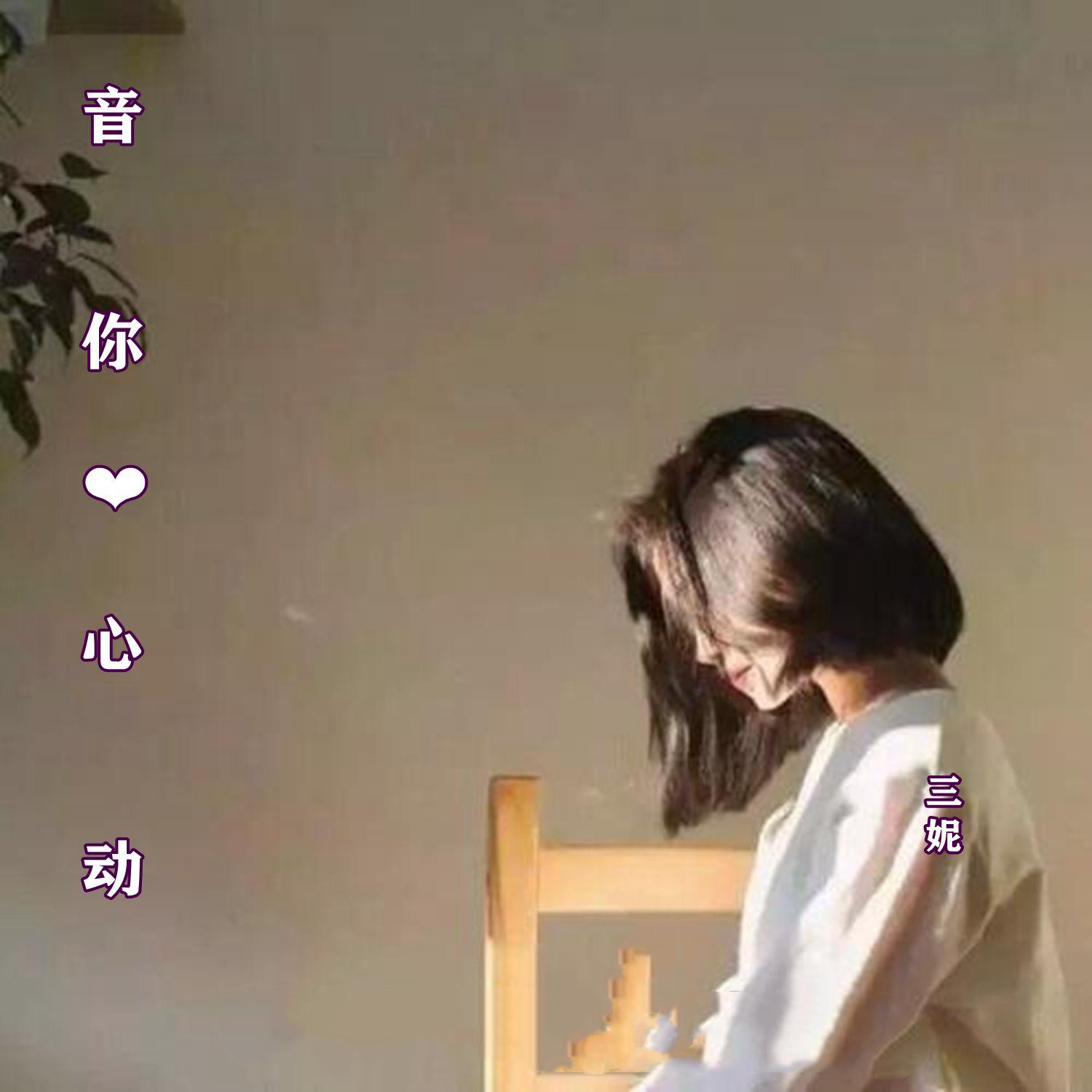 赤伶 (伴奏)封面