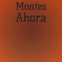 Montes Ahora