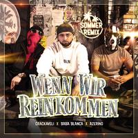 Wenn wir reinkommen (Sommer Remix)