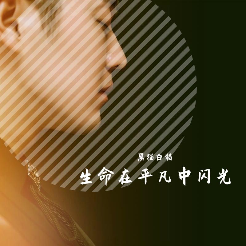 青春总有张不老的笑脸封面