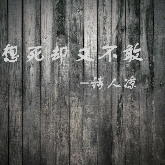 想死却又不敢封面