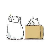 猫咪之歌