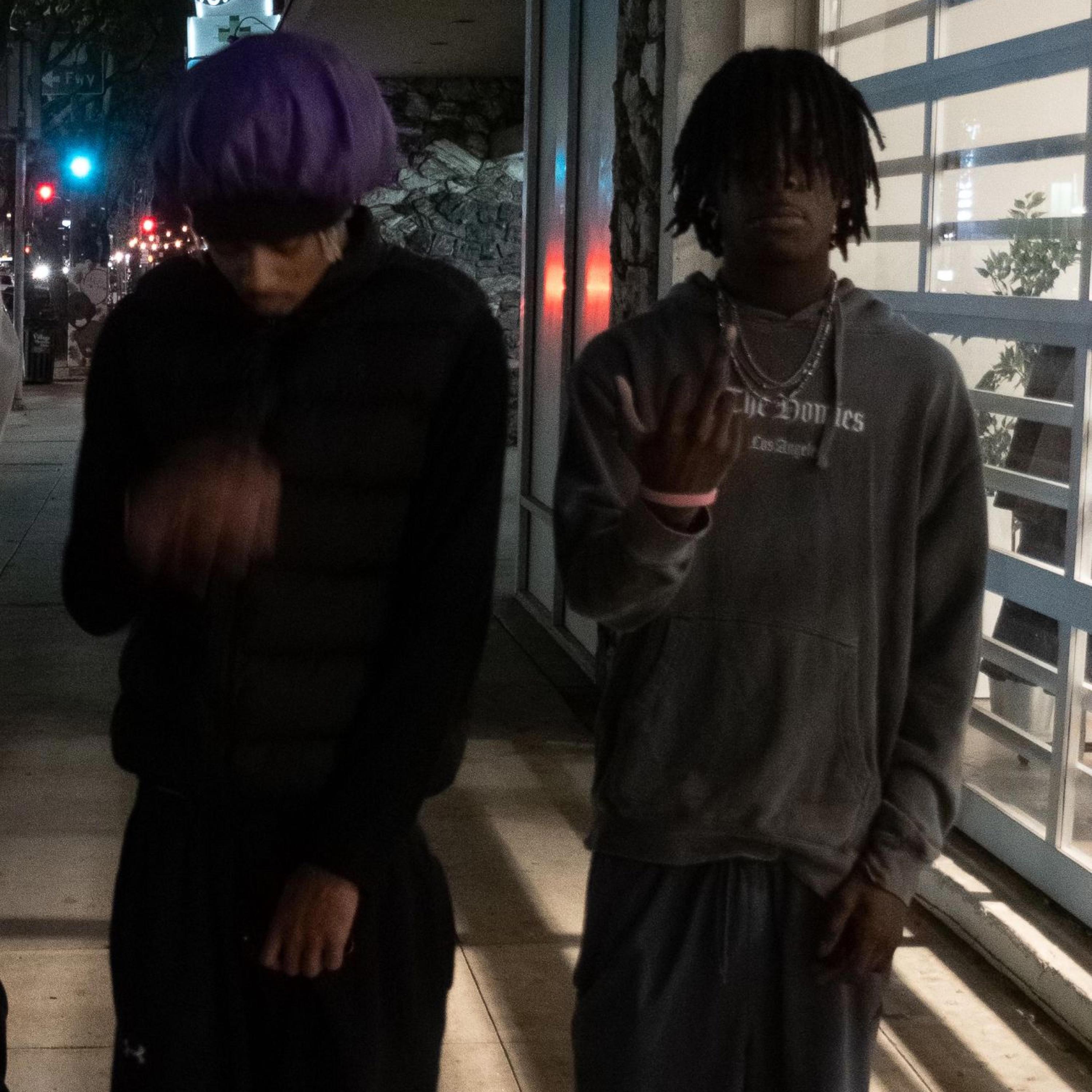 the v (feat. luvfredo)