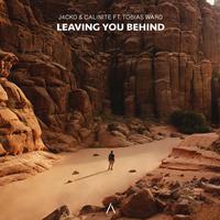 Leaving You Behind