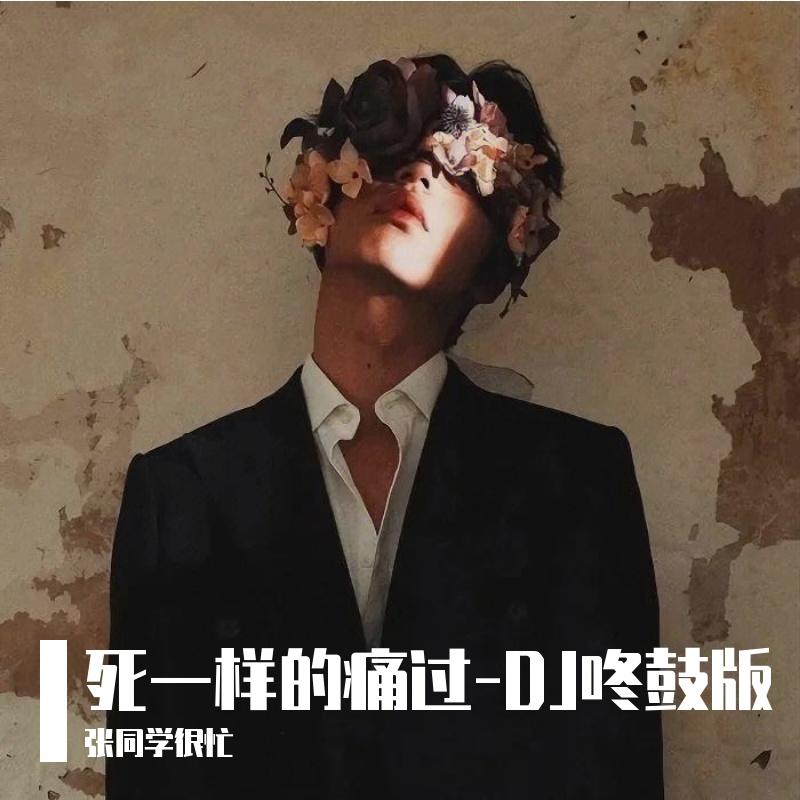 死一样的痛过-DJ咚鼓版封面