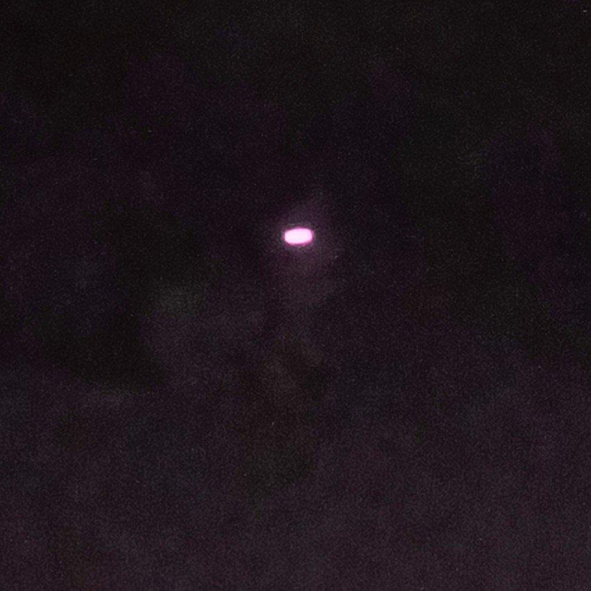 Ace Attorney（phonk）