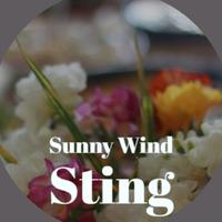 Sunny Wind Sting