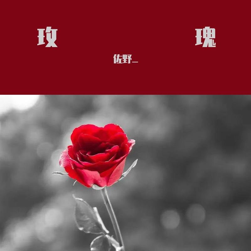 玫瑰_佐野__玫瑰 | 在线播放_玫瑰歌词_玫瑰下载 | 网易云音乐
