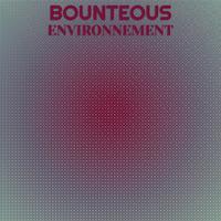 Bounteous Environnement