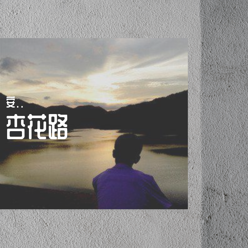 杏花路 - 谢安封面