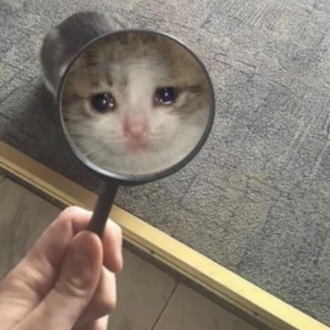 风的来信（《下一站是幸福》）主题曲（翻自 金玟岐）