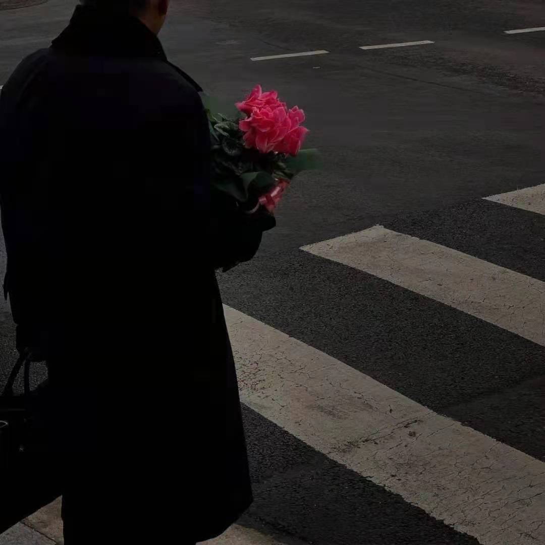 棉花糖骆驼封面