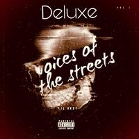 voice of the steets (Deluxe)