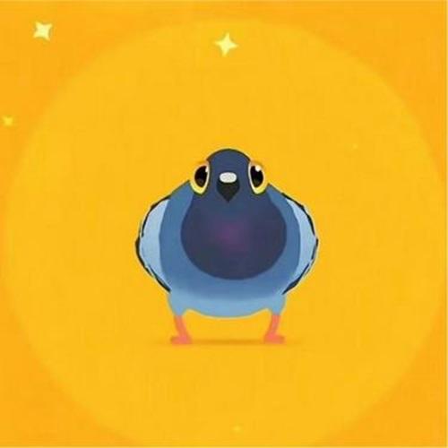 疯狂的鸽子 (摇曲mix)