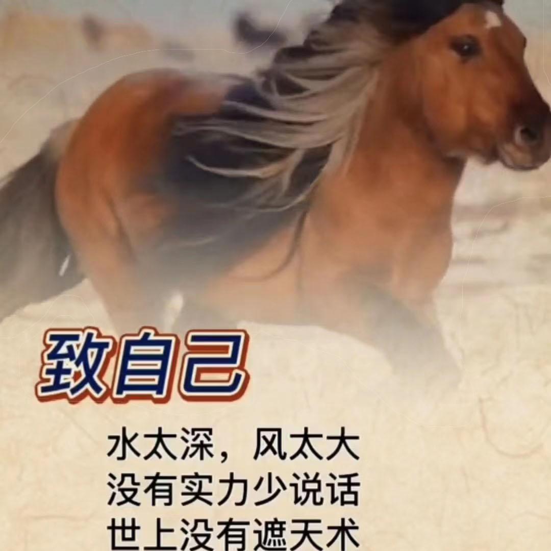 Rise - Epic Music（小提琴）封面
