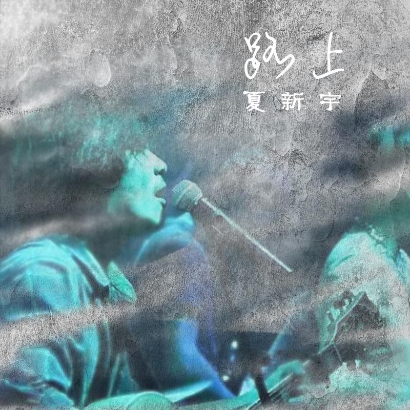 蠢蛋进化论 (伴奏) - 夏新宇封面