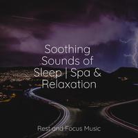 Soothing Sounds of Sleep | Spa & Relaxation