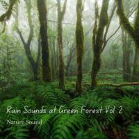 Nature Sound: Rain Sounds at Green Forest Vol. 2 - 1 Hour