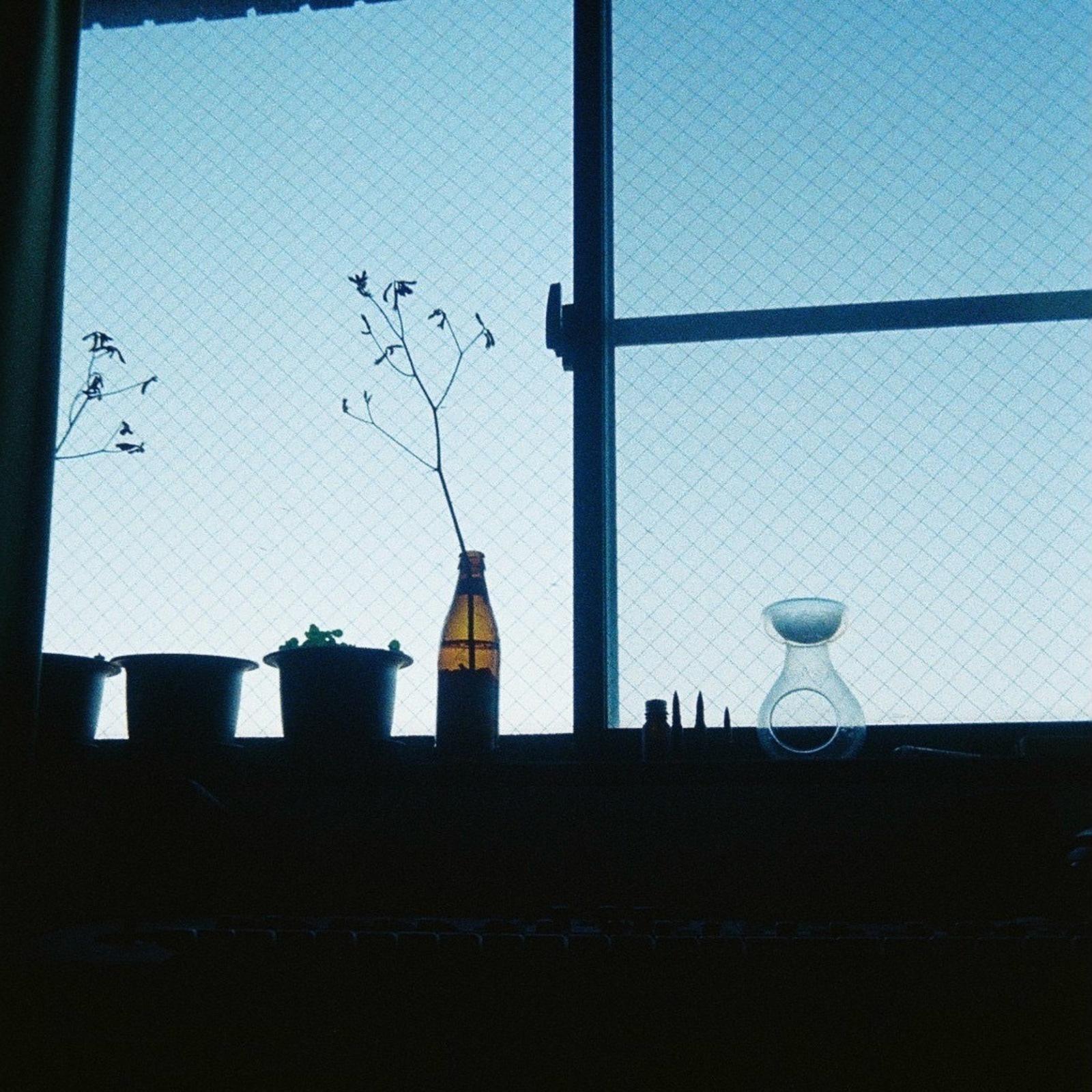 酔生夢死 - LOL、知声封面