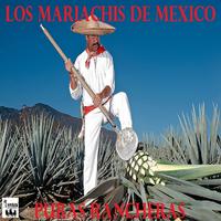 PURAS RANCHERAS