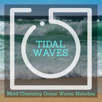 Tidal Waves - Mind Cleansing Ocean Waves Melodies